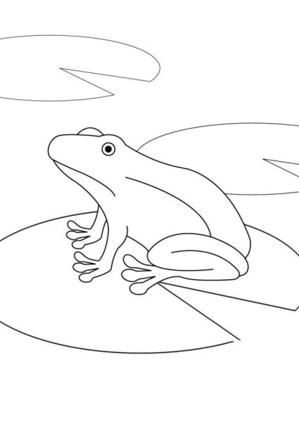 Лягушонок рисунок для детей карандашом