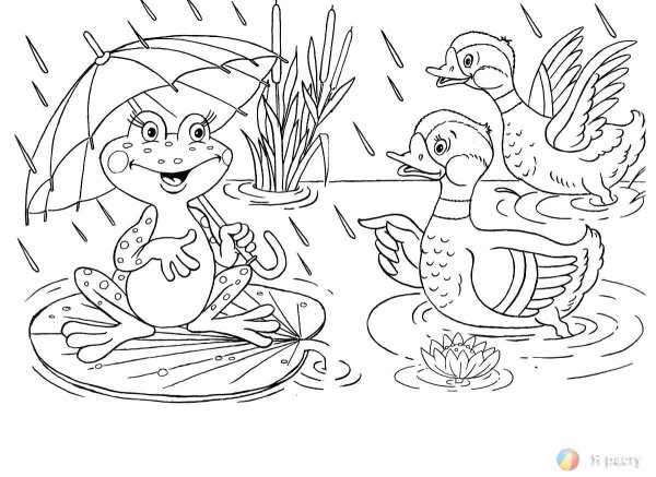 Раскраска лягушка путешественница раскраска для детей