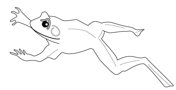 Летающая лягушка раскраска
