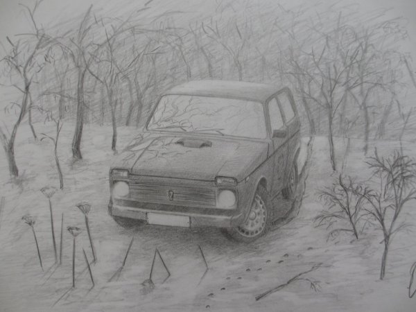 Нива карандашом