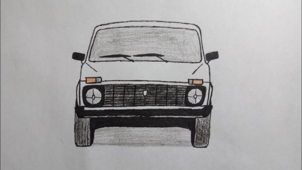 Рисунки для срисовки Нива