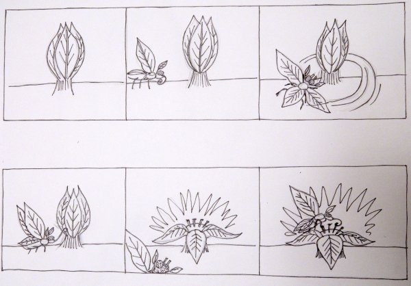 Раскадровка по изо