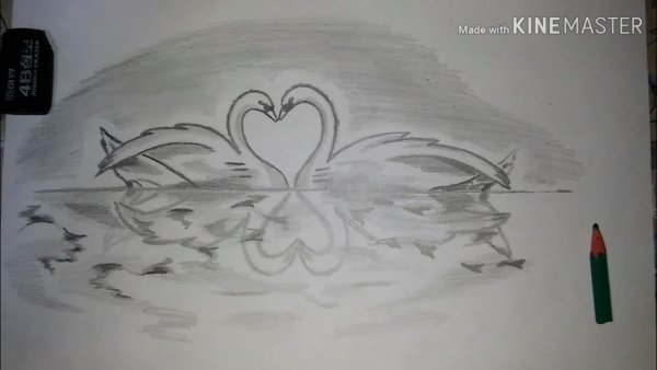 Лебедь рисунок