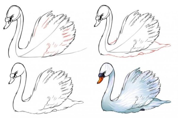 Лебедь референс