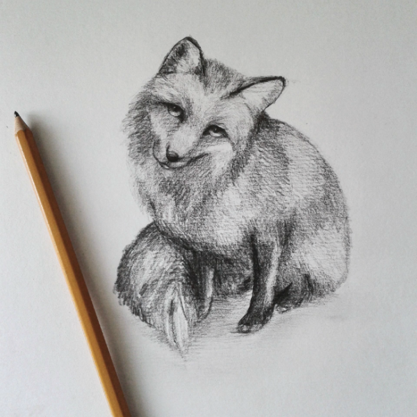Лисичка рисунок карандашом