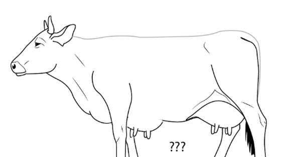 Поэтапное рисование коровы