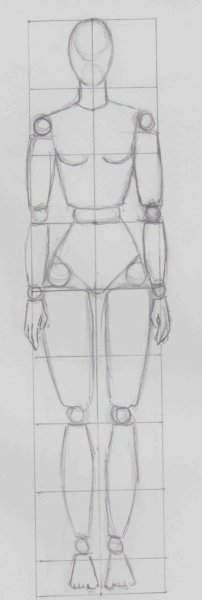 Пропорции человека референс