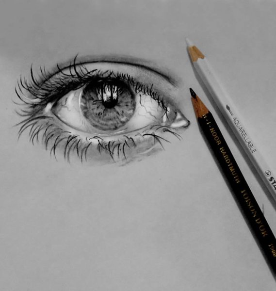 Животные карандашом