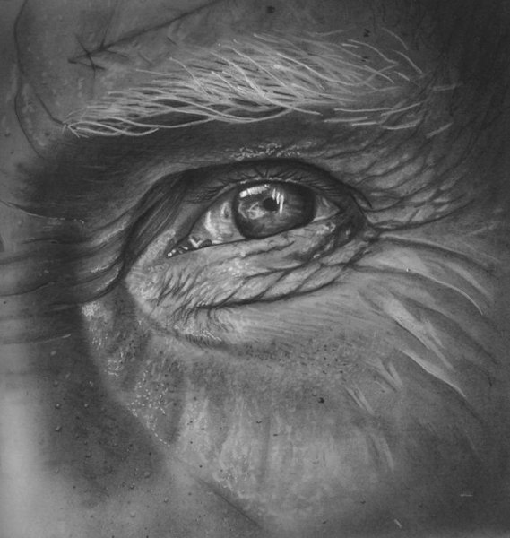 Мариуш Кедзерски