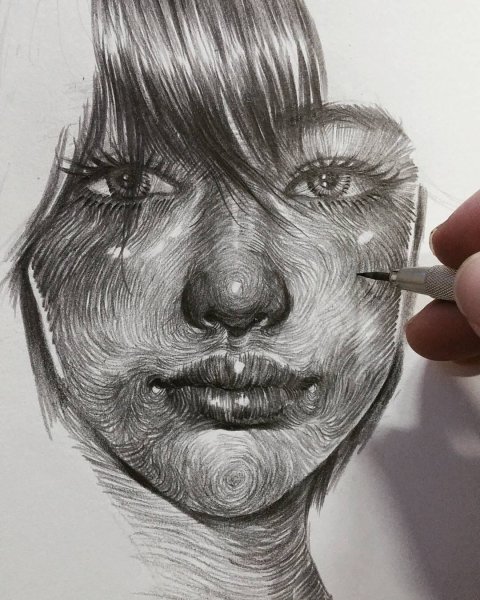 Карандашом реалистичный