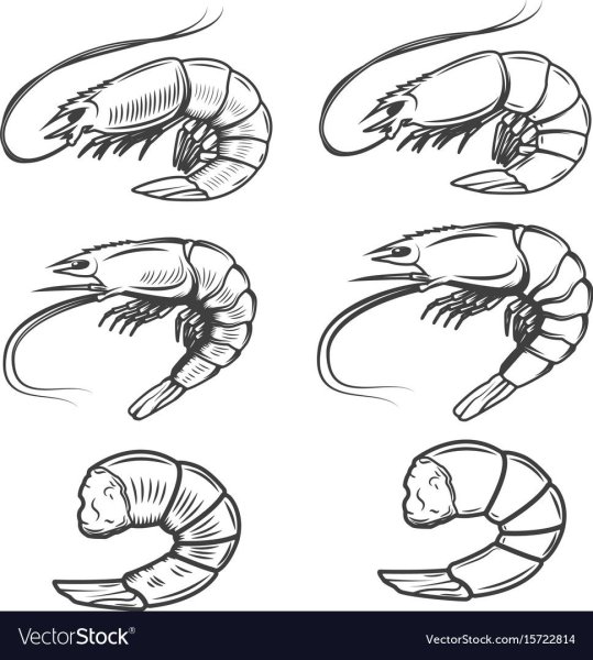 Морепродукты эскиз