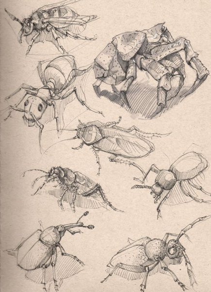 Стрекоза карандашом