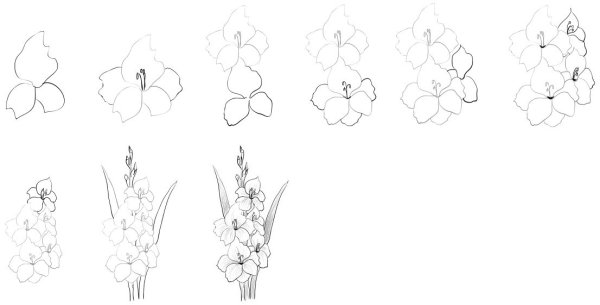 Рисование карандашом для начинающих цветы