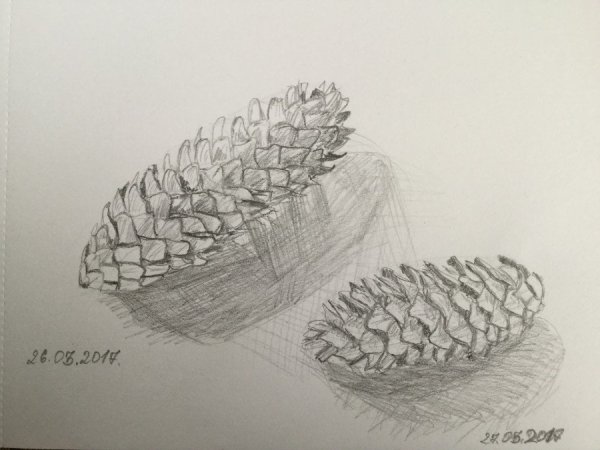 Шишки карандашом