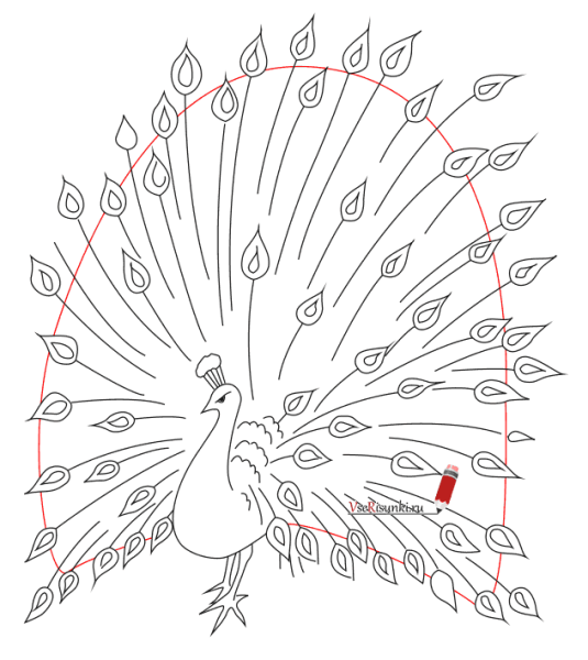Нарисовать павлина