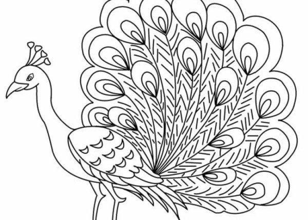 Павлин трафарет