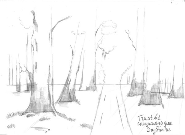 Графика зимнего леса