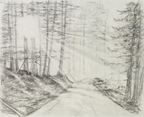 Красивый лес карандашом