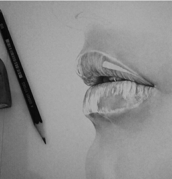 Карандаш реализм мастер класс