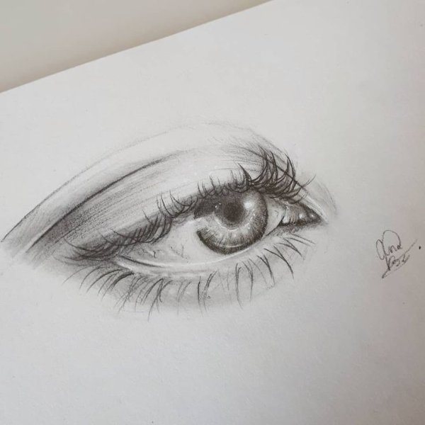 Красота карандашом