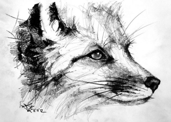 Рисунок в стиле реализма карандашом