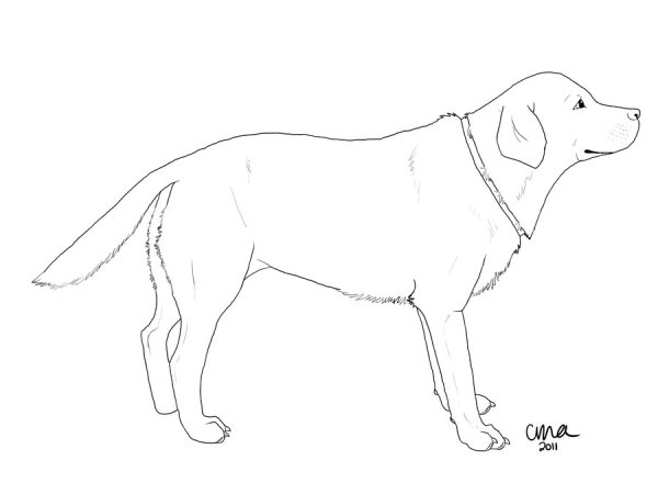 Собака алабай вектор