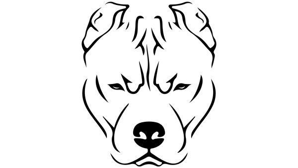 Среднеазиатская овчарка алабай рисунки