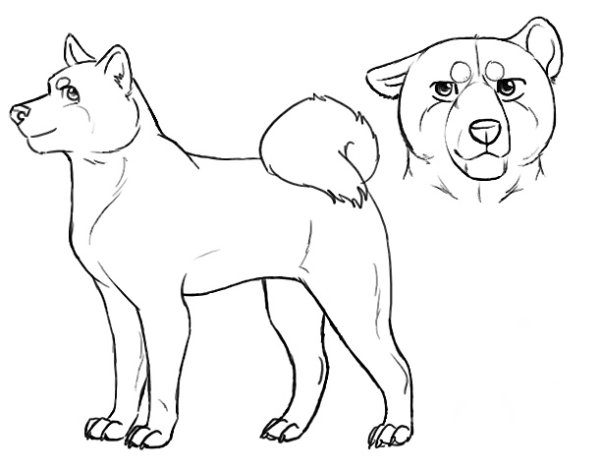 Лицо собаки для срисовки