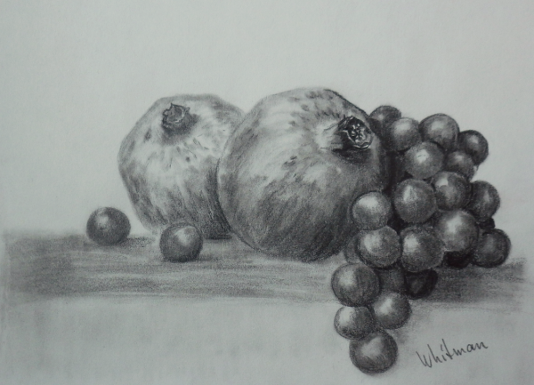 Гранат набросок карандашом