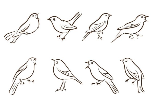 Птица рисунок