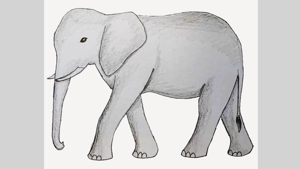 Слоны рисунки