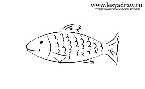 Рисунок рыбы для срисовки