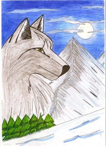 Рисунки волка легкие