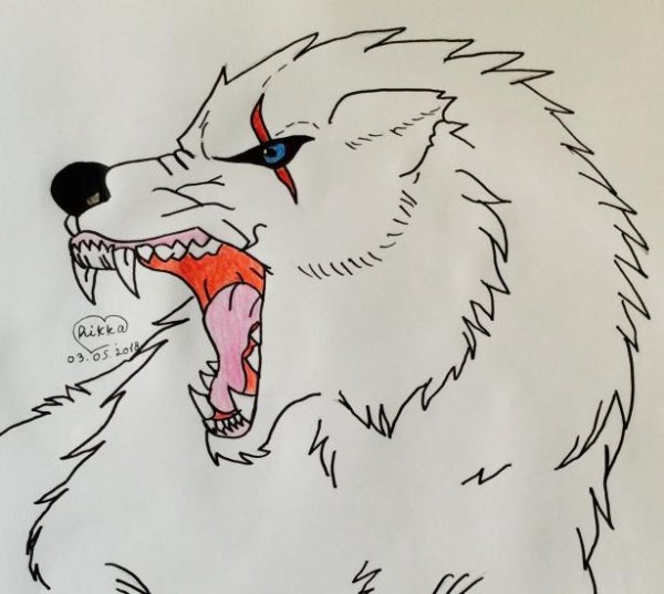 Злой волк рисунок карандашом