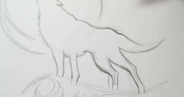 Рисунки для срисовки волки легкие