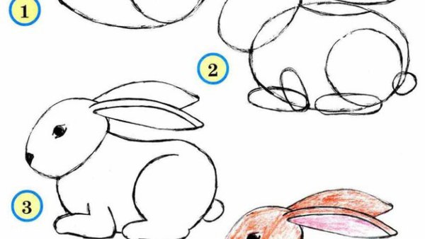 Легкое рисование медвежонка