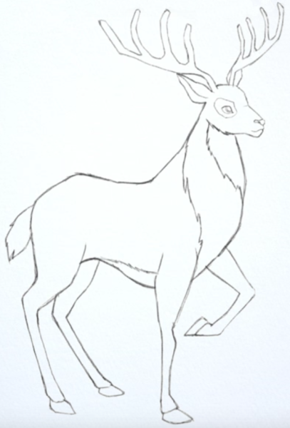 Олень рисунок карандашом для срисовки