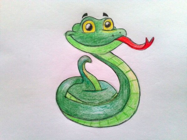 Рисунки змей