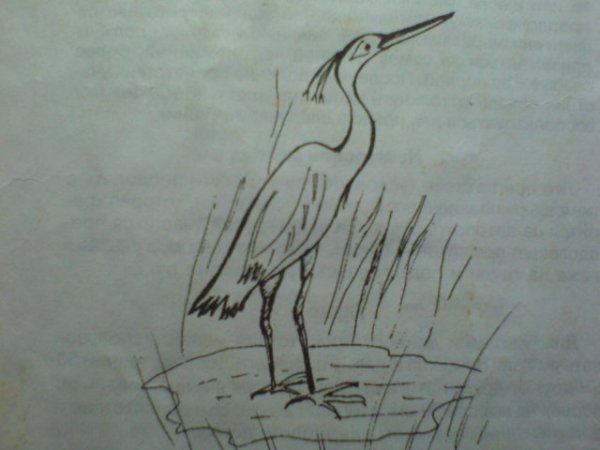 Журавль карандашом