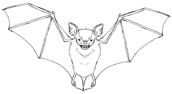 Лёгкие рисунки для Хэллоуина