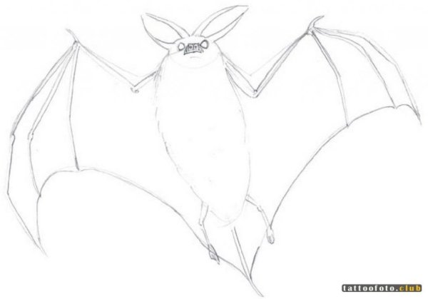 Летучая мышь карандашом для детей