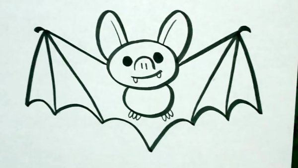 Летучая мышь карандашом