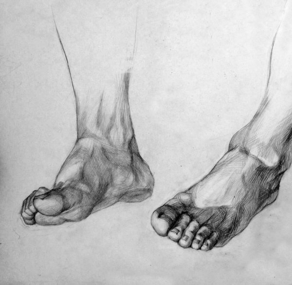 Зарисовки стопы человека