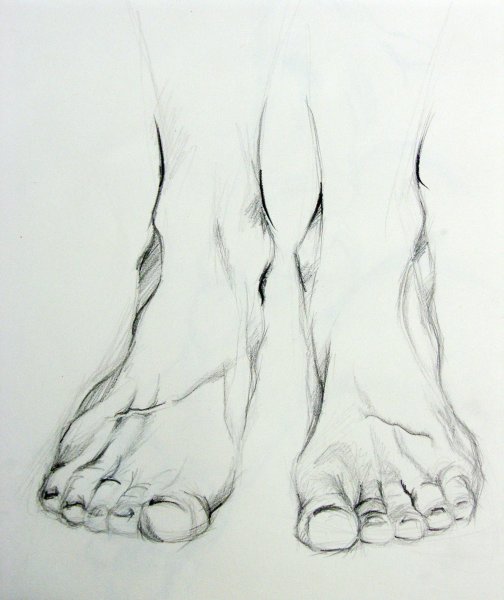 Стопа рисунок