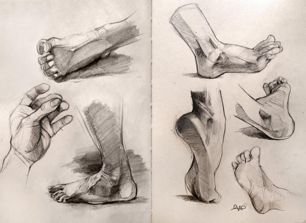 Зарисовки стопы