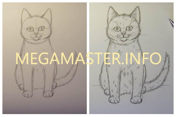 Пошаговый рисунок кошки