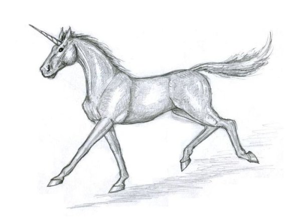 Картинки для срисовки Единорог