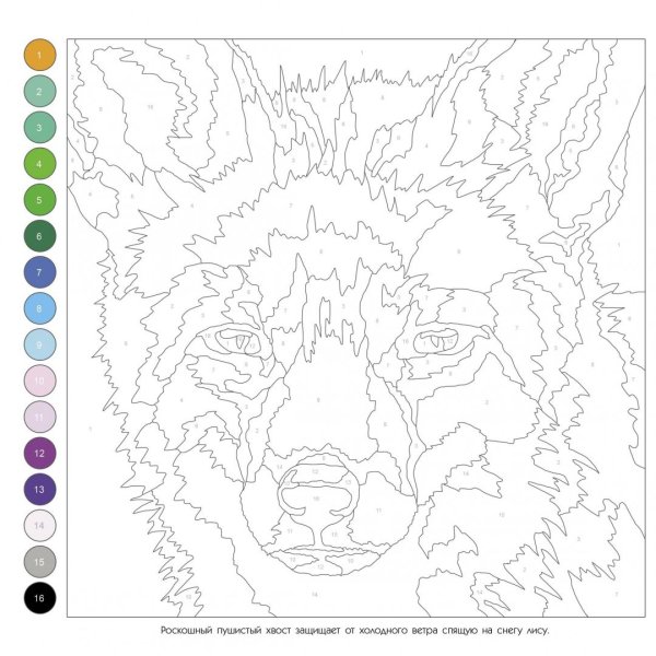 Раскраска по номерам