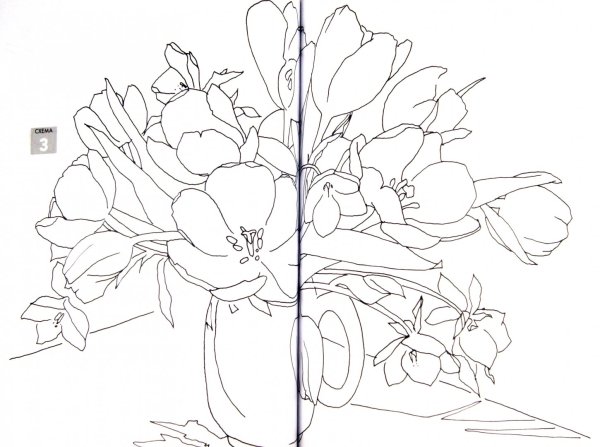 Рисунок для разукрашивания цветы по номерам