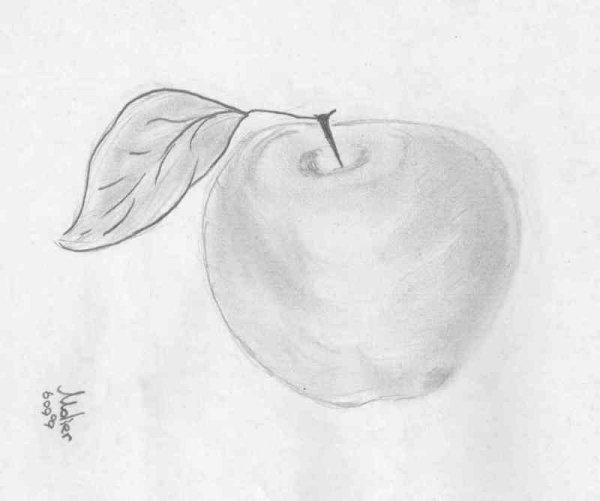 Яблоко простым карандашом